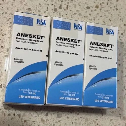 pisa-buy-1000mg-10ml-anesket-online-storage-1718098395-7475193-1